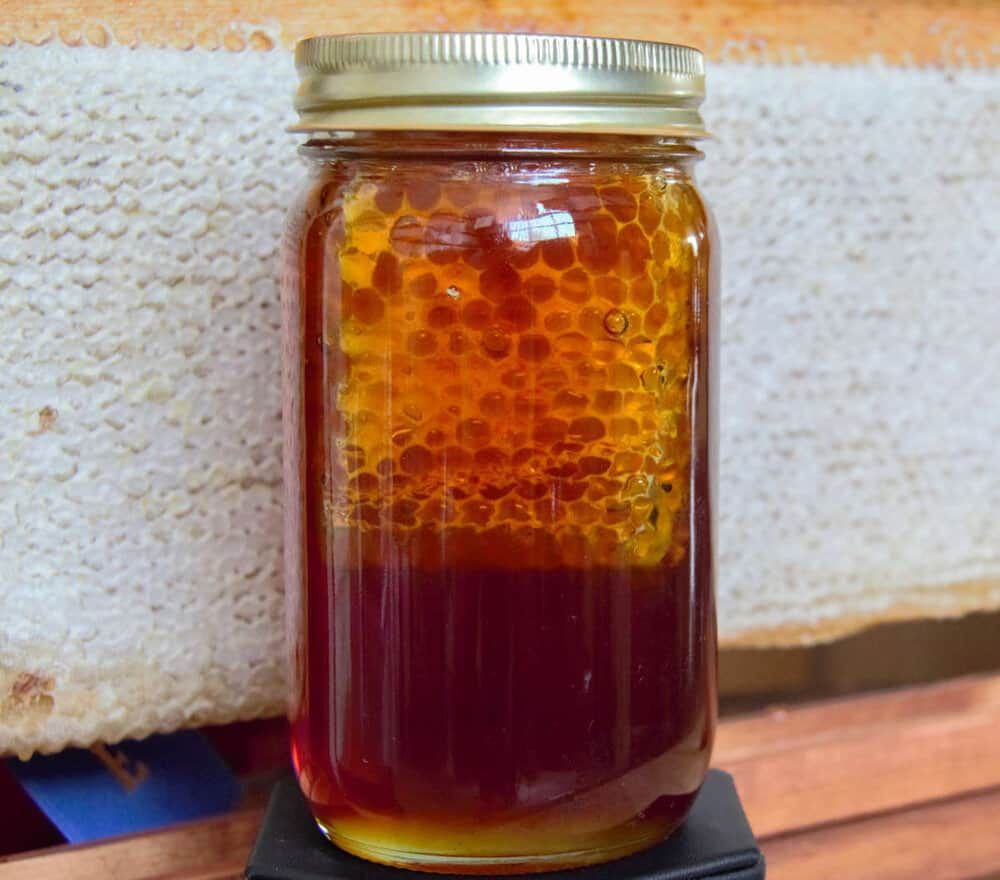 Pure Organic Honey - (1 Kg) Image