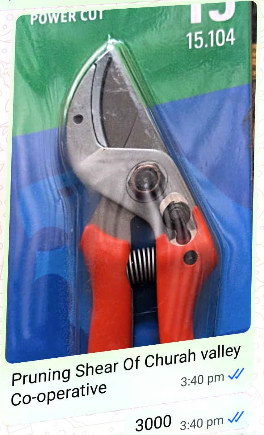 Pruning Shear Image